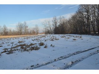 Property photo 3 - FARMLAND AUCTION, 60+/- Acres in 6 Tracts ranging from 4 to 20 acres & in combinations!